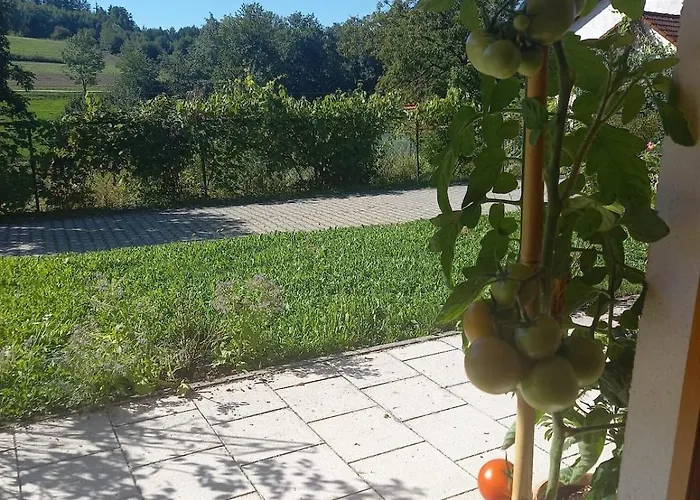 Idyllic In Bavaria, Near Munich, Freising, Erding * Gammelsdorf